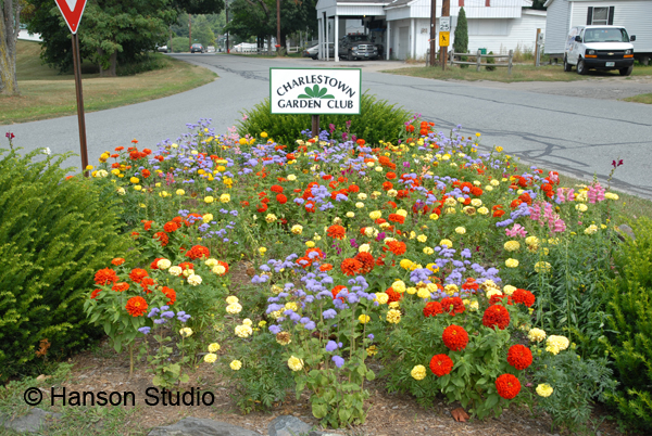 Charlestown, NH - Garden Club Flowers